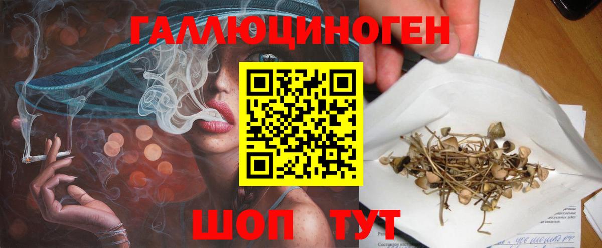 Псилоцибиновые грибы GOLDEN TEACHER  Вход с VPN  Галлюциногенные грибы MAGIC MUSHROOMS  Новотроицк 